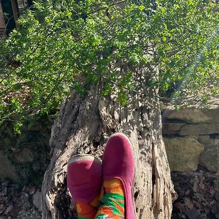 Bed & Breakfast Casina Morgana 4*