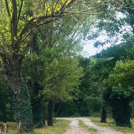 Bed & Breakfast Casina Morgana 4*