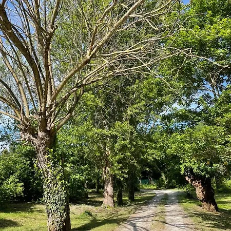 Casina Morgana Panzió Novafeltria