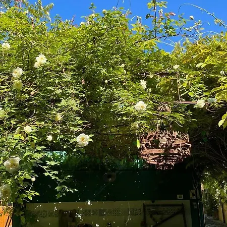 Casina Morgana Bed & Breakfast 4*