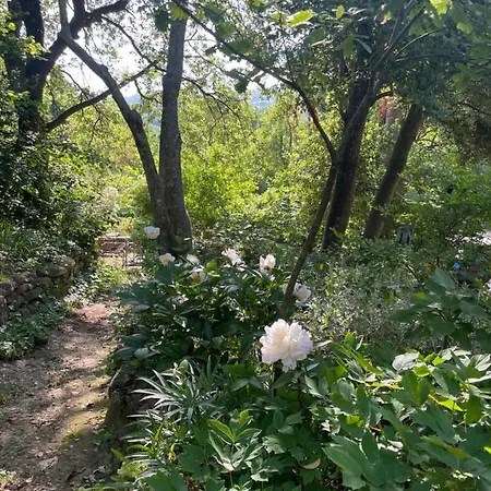 Oda ve Kahvaltı Casina Morgana Novafeltria