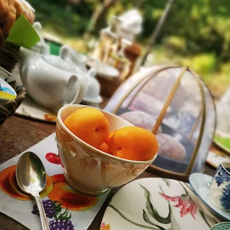 Bed & Breakfast Casina Morgana