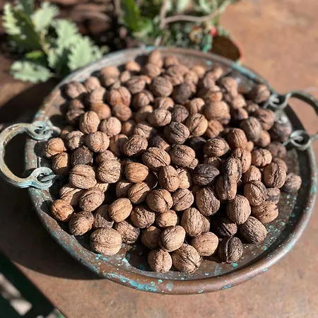 Bed & Breakfast Casina Morgana