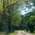 Bed and Breakfast Casina Morgana 4*