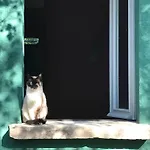 Casina Morgana
