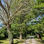 Casina Morgana Bed and Breakfast Novafeltria