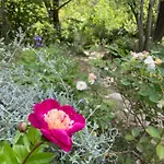 B&B Casina Morgana Novafeltria