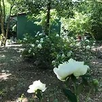 Bed and Breakfast Casina Morgana Novafeltria