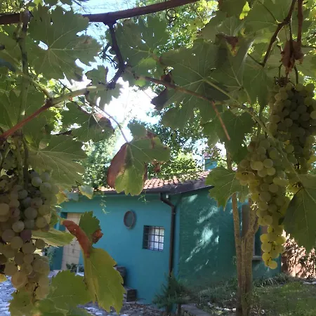 Bed and Breakfast Casina Morgana 4*