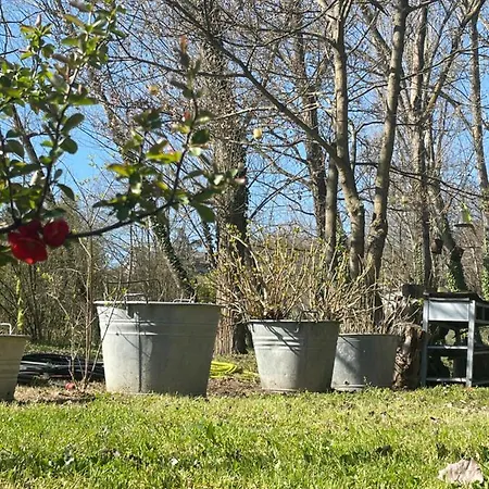 Bed and Breakfast Casina Morgana