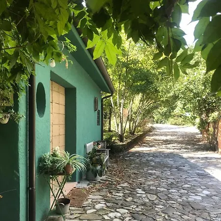 Nocleg ze śniadaniem Casina Morgana