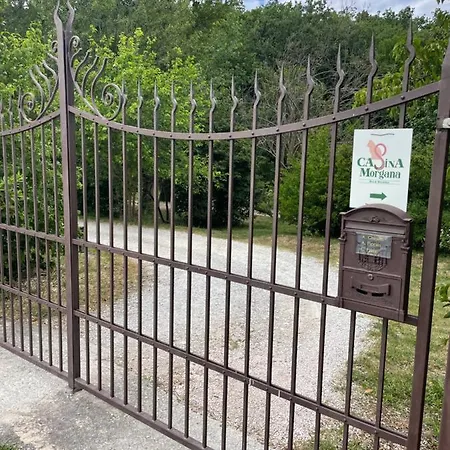 Casina Morgana Bed and Breakfast