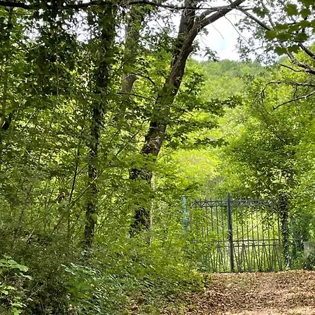 Casina Morgana Nocleg ze śniadaniem 4*