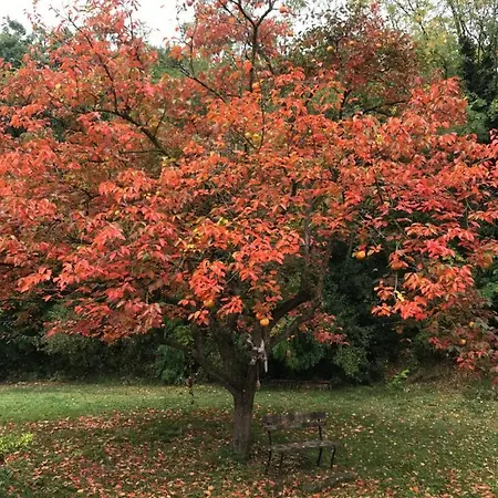 Casina Morgana Nocleg ze śniadaniem Novafeltria