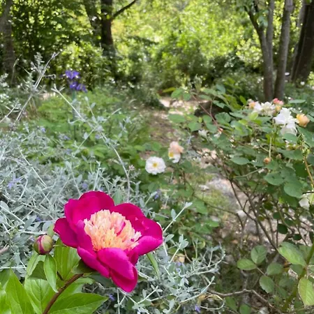 Nocleg ze śniadaniem Casina Morgana Novafeltria
