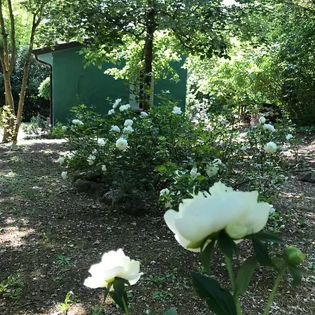 Frühstückspension Casina Morgana Novafeltria