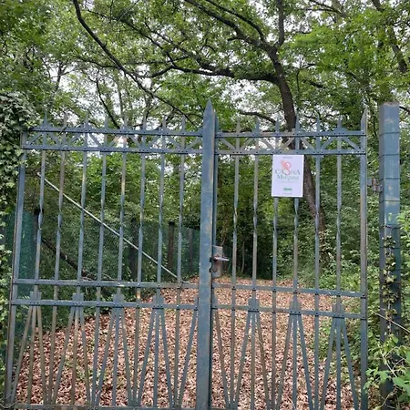 Casina Morgana Oda ve Kahvaltı