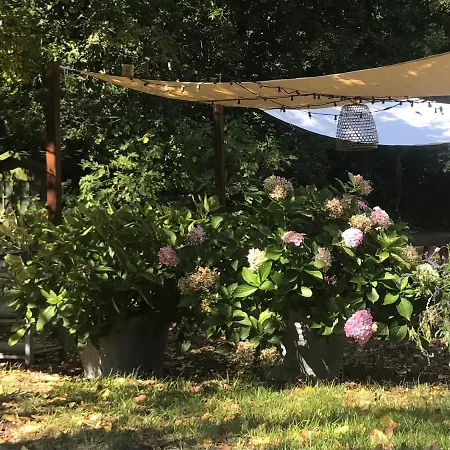 Casina Morgana Bed and Breakfast 4*