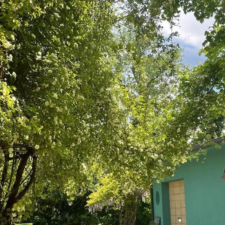 Casina Morgana Nocleg ze śniadaniem Novafeltria