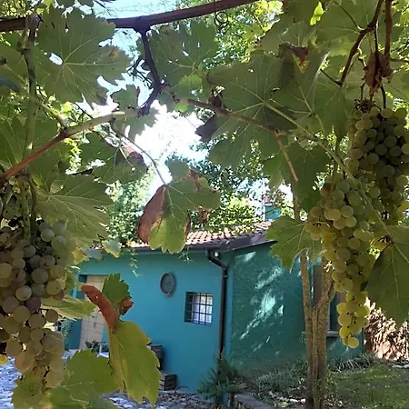 Casina Morgana Bed and Breakfast Novafeltria