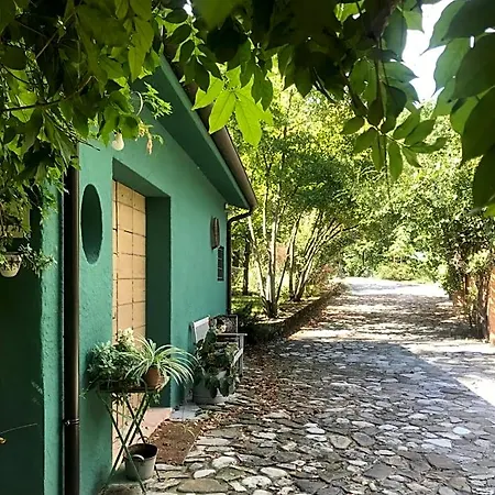 Casina Morgana Bed and Breakfast Novafeltria