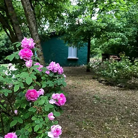 Bed and Breakfast Casina Morgana