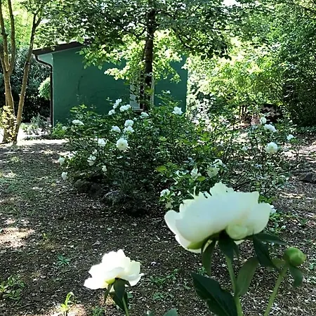 Casina Morgana 4*