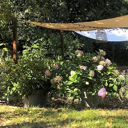 Bed and Breakfast Casina Morgana