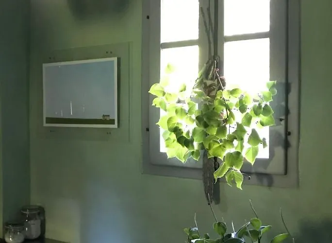 فندق مبيت وإفطار Casina Morgana 4*