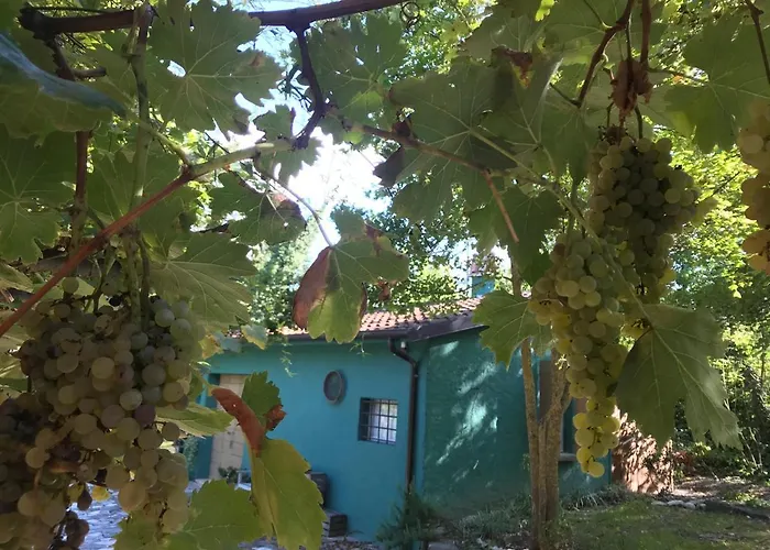 فندق مبيت وإفطار Casina Morgana 4*