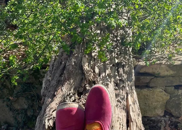 فندق مبيت وإفطار Casina Morgana 4*