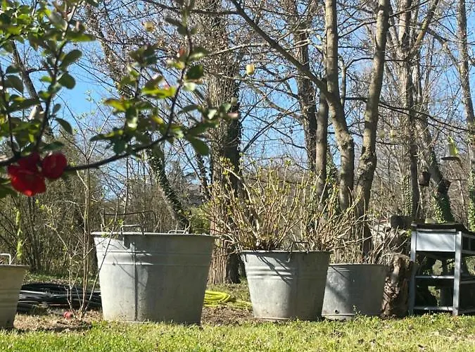 فندق مبيت وإفطار Casina Morgana