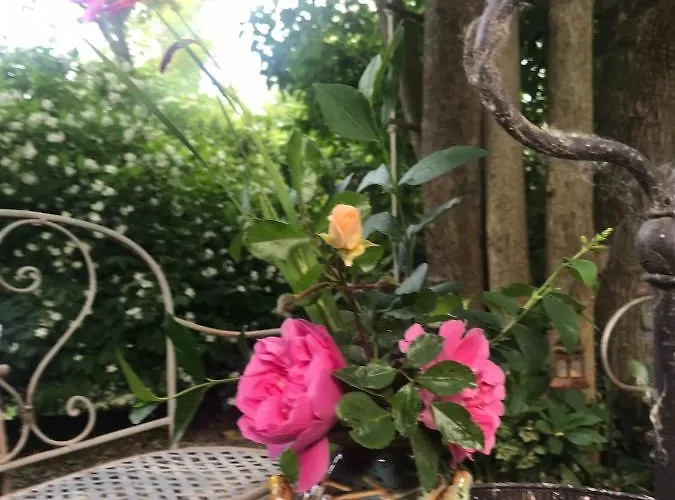 فندق مبيت وإفطار Casina Morgana 4*