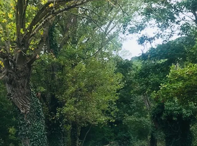 فندق مبيت وإفطار Casina Morgana 4*