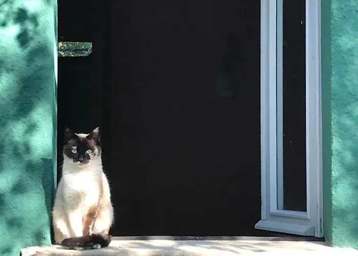 Casina Morgana