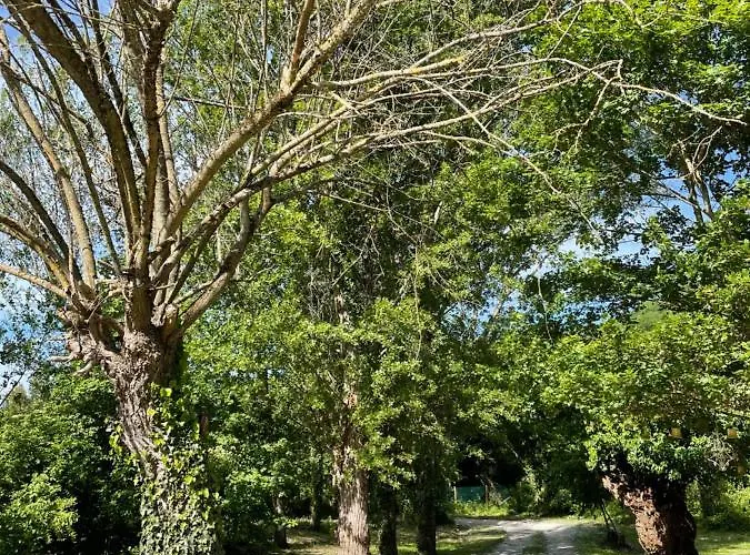 Casina Morgana فندق مبيت وإفطار Novafeltria