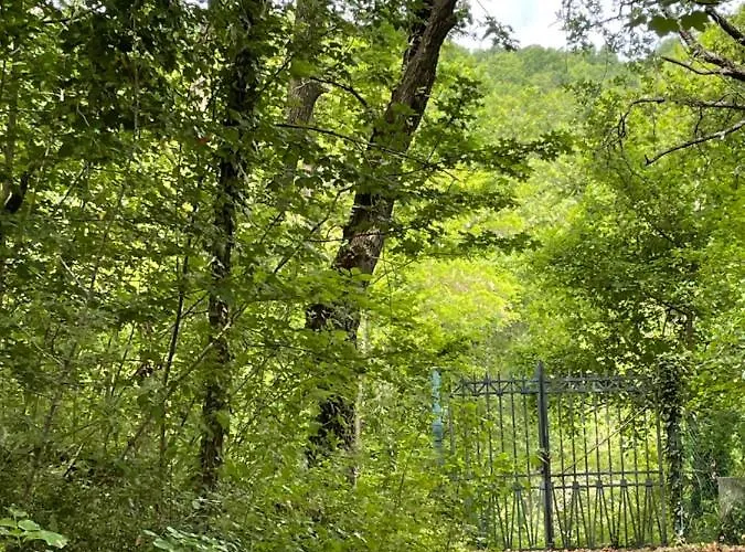 Casina Morgana فندق مبيت وإفطار 4*