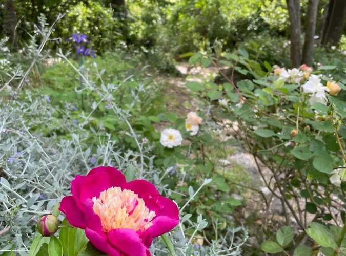 فندق مبيت وإفطار Casina Morgana Novafeltria