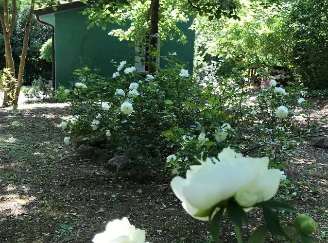 فندق مبيت وإفطار Casina Morgana Novafeltria