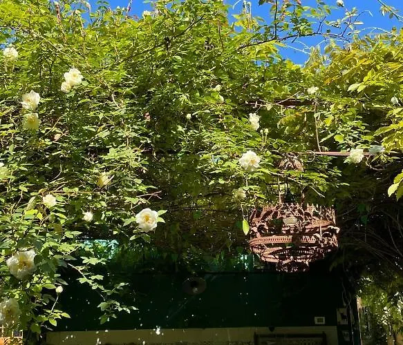 Casina Morgana فندق مبيت وإفطار 4*