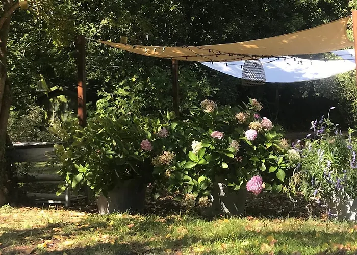 Casina Morgana فندق مبيت وإفطار 4*