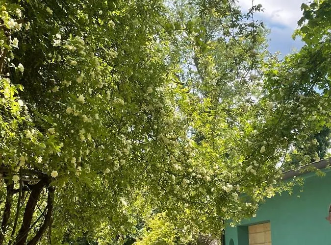 Casina Morgana فندق مبيت وإفطار Novafeltria