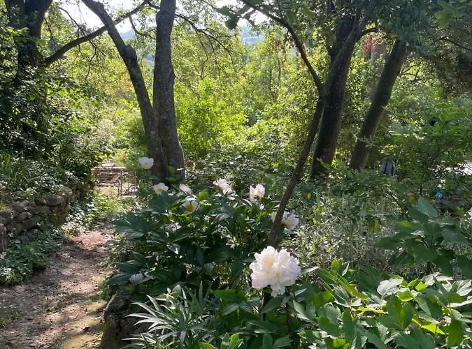 فندق مبيت وإفطار Casina Morgana Novafeltria