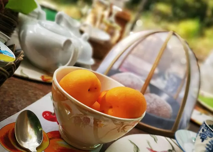 فندق مبيت وإفطار Casina Morgana