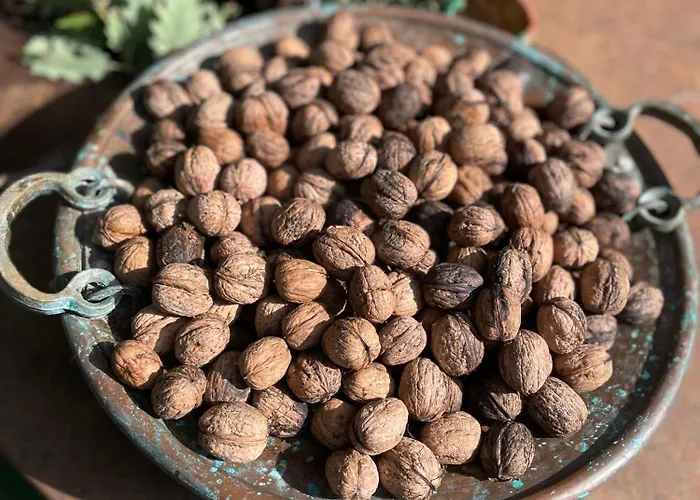 فندق مبيت وإفطار Casina Morgana